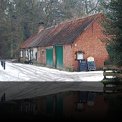 Boshuisje in de sneeuw foto 2009